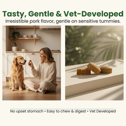 Nuzzle Club™ Probiotic Soft Chews – 7 Strains for Skin Comfort & Gut Health